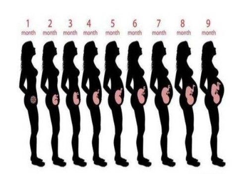 孕婦順產之前需要多少次的內檢檢查？